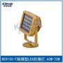 厂家供应BED150隔爆型LED防爆投光灯 50W 70W
