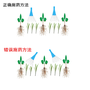 黄精田专用除草剂  内吸型安全除草剂