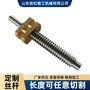 厂家直销梯形丝杆 梯形螺纹 不锈钢丝杆 大导程丝杆 多头丝杠