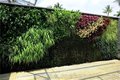 室外植物墙制作