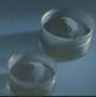二硅化钼粉