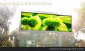 深圳机关高清led显示屏供应商,锐凌光电