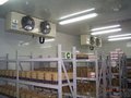 苏州供应药品、血浆、兽药冷库安装、维修