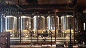 史密力维精酿啤酒设备日产500升啤酒发酵罐成本及价格