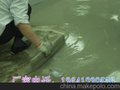 河南三门峡灌浆料访问