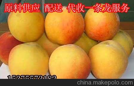 黃桃價格 碭山黃桃銷售2015年最新黃桃基地大量上市圖片