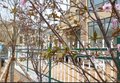 厂家直销 欧艺围栏 护栏 厂区围栏 可定做 质量佳 欢迎选购