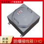 IIC T4防爆接线箱 防爆分线箱 防爆端子箱