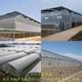 温室大棚生产厂 承接全国大棚工程 玻璃温室 薄膜大棚