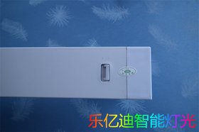 LYDBS12-002LEDşa(chn)S