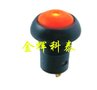 PB12A-2-R-R红色按带灯自锁按钮开关