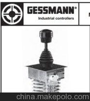 GESSMANN_P(gun) GESSMANN_̤