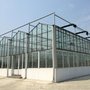规划设计田园综合体玻璃温室 连栋薄膜温室 温室大棚工程承建