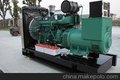 VOLVO系列柴油发电机组 柴油发电机组30kw 江苏德丰