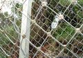 高速柔性护坡网@文安专业柔性网厂@专业防护网厂家直营
