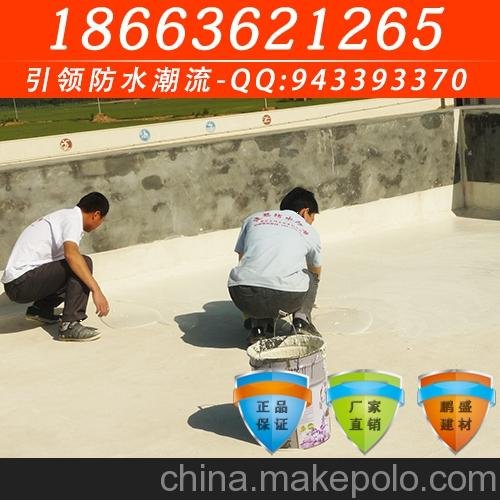 于洪js防水涂料品質保證圖片