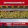 供应厂家直销 专业提供凯源牌 土豆 胡萝卜清洗去皮机 概率高