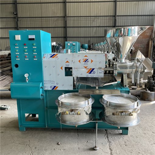 大型商用螺旋榨油機(jī) 眾志花生核桃榨油機(jī) 榨油機(jī)廠家圖片
