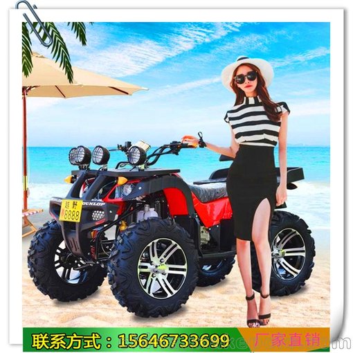 未珍重 場(chǎng)地競(jìng)技卡丁車 小型卡丁車 雪樂園游樂設(shè)備圖片