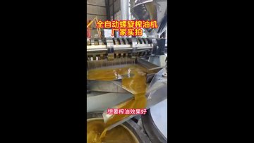 150型商用螺旋榨油机全自动冷热两用花生菜籽榨油机