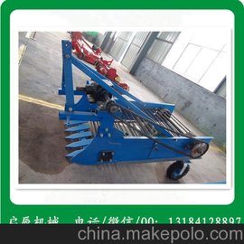 ¢65ջھջ