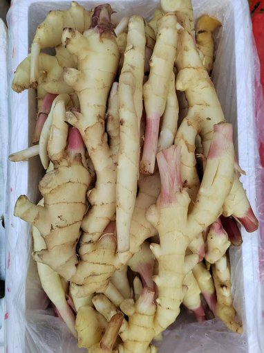 珠海蔬菜配送新鮮豬肉新鮮黃瓜,車(chē)行蔬菜配送批發(fā)配送圖片