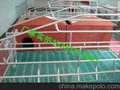 优质出售自动料线的地址及联系电话