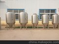 厂家直销 啤酒发酵罐  欢迎致电