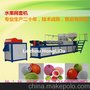 洪力达75型全自动节能型发泡网套机，水果网套机