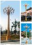 直销LED中华灯路灯8米12米户外景观广场灯市政建设大型路灯