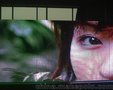 LED显示屏  欢迎致电 厂家供应 室内P3 LED租赁舞台屏