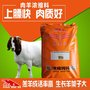 羊浓缩料肉羊浓缩饲料适口性好皮毛光亮 育肥羊母羊通用型饲料