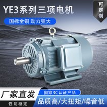 YE3ஐ늄(dng)C(j)ȫ~о7.5KW/5.5/11/15KW-4(j)