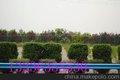 陕西咸阳公路护栏板丨高速护栏专用厂家--君安