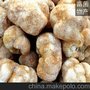 食用菌种供应