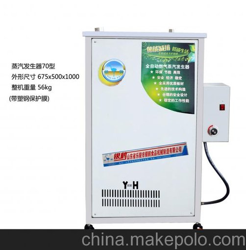 節(jié)能型全自動燃?xì)庹羝l(fā)生器 商用不銹鋼蒸汽機圖片