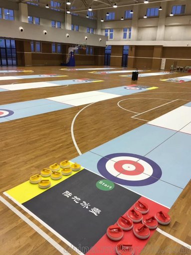 便攜式賽道專用陸地冰壺球提供整套價(jià)格優(yōu)惠圖片