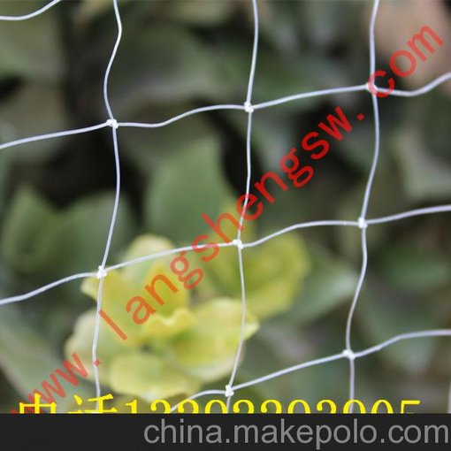 全網(wǎng)大量銷售葡萄防鳥網(wǎng)圖片