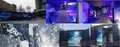 4D冰雪VR雪山吊桥体验屋惊艳全场暖场项目