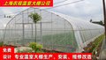 联合八型装配式塑料管棚 单体钢架大棚 种植大棚养殖