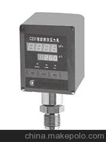 水電站監(jiān)控用CS51CIIIREK8N1智能壓力控制器圖片