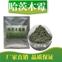 生产哈茨木霉.绿色木霉.淡紫拟青霉原料厂家