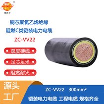 h(hun)늾| (lin)ȼ|ZC-VV22-300ƽ zb|