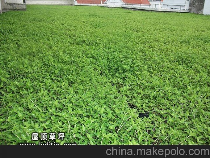 海綿城市西安屋頂綠化西安綠地貼洛川屋面防水堵漏圖片