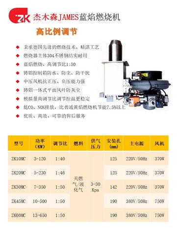 低氮燃燒器是價格圖片