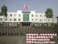 水性环保闪光银粉 铝银粉