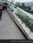 供应植物墙花盆花盆厂家价格屋顶绿化花盆