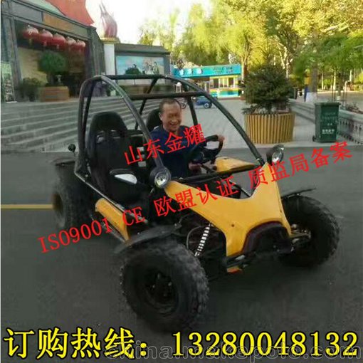 我心飛翔 大型成人卡丁車  挖掘機(jī)生產(chǎn)價格  工程機(jī)械樂園圖片