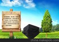 兰禾活性炭口罩*一次性平面口罩*黑口罩批发