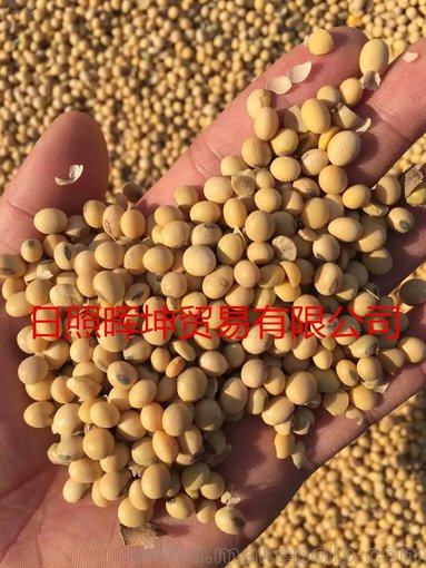 進口豆子圖片